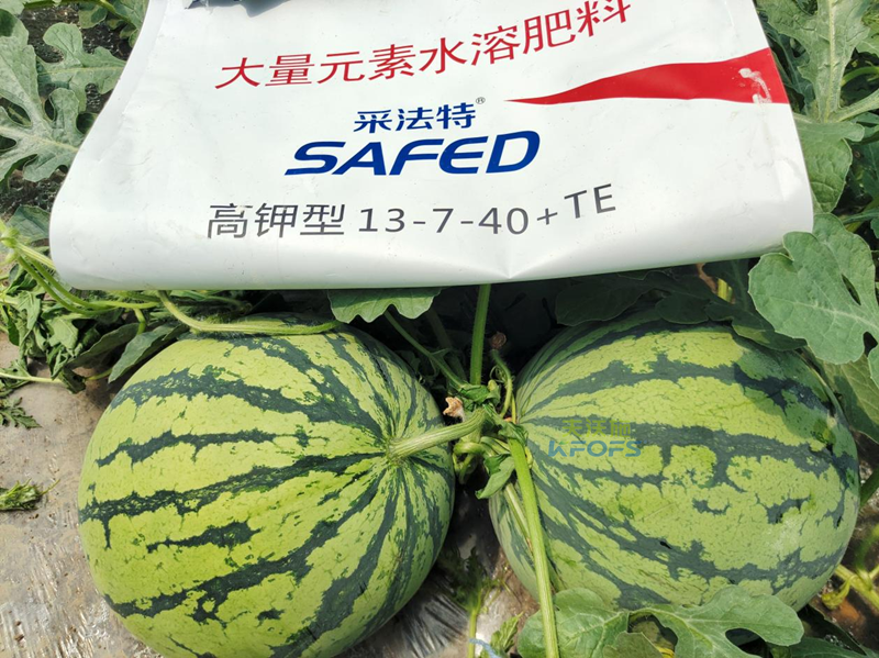 好點(diǎn)的水溶肥大概多少錢(qián)-采法特水溶肥1.png