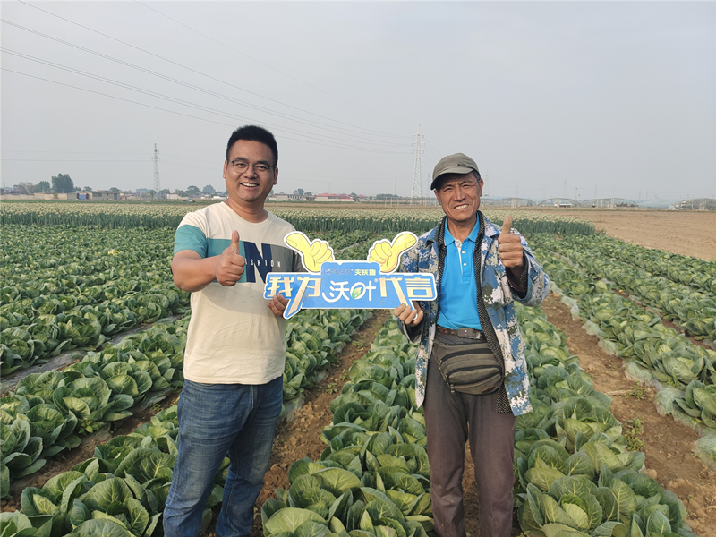 進口水溶肥-沃葉進口水溶肥用戶見證1.png