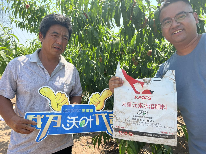 桃樹(shù)施肥時(shí)間和方法-沃葉水溶肥系列1.png
