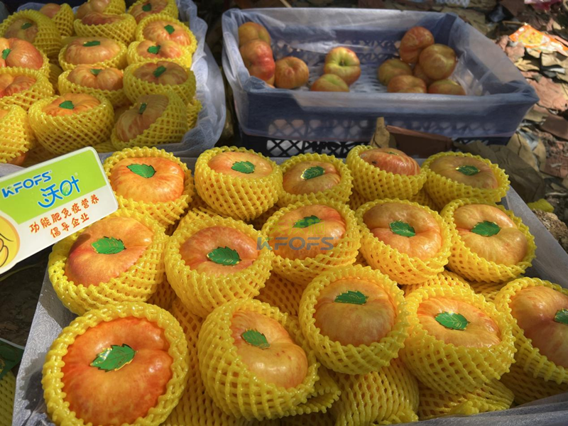 桃樹(shù)施什么肥料效果好-沃葉水溶肥系列1.png
