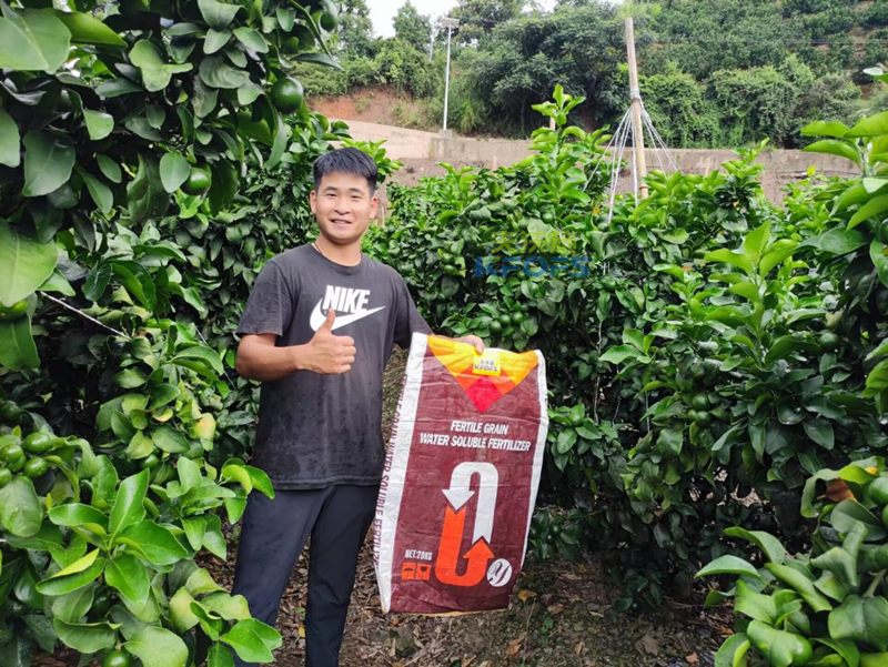 水溶肥用在柑橘上效果怎么樣？