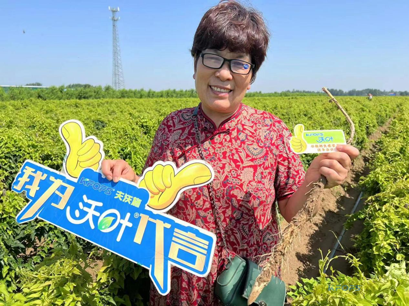 改良土壤肥料有哪些？夫沃施功能肥