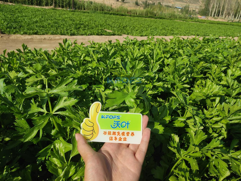 生根套餐哪家強(qiáng)-沃葉根樂(lè)夫+菌劑1.png
