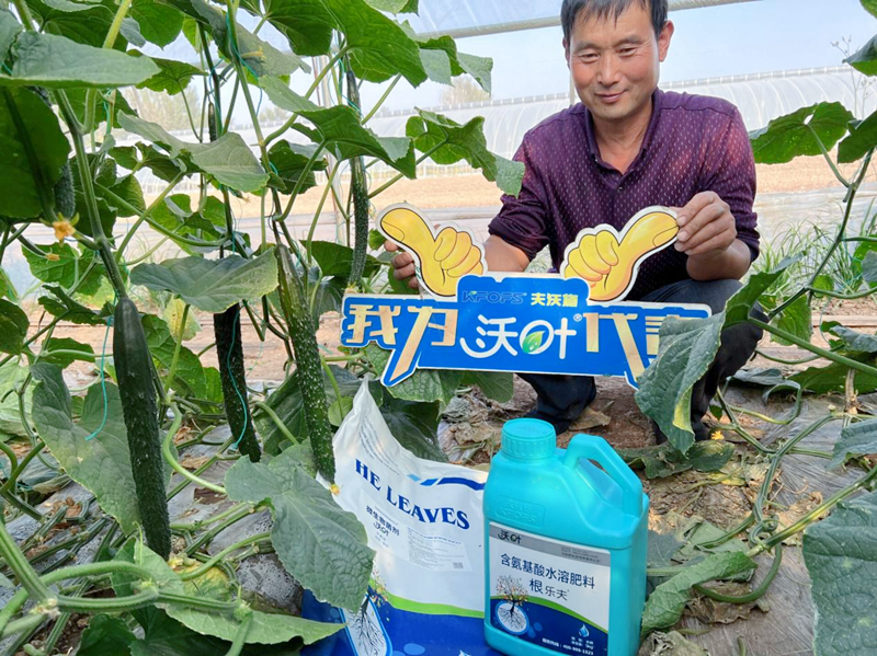 微生物菌劑越來越受歡迎的原因有哪些？