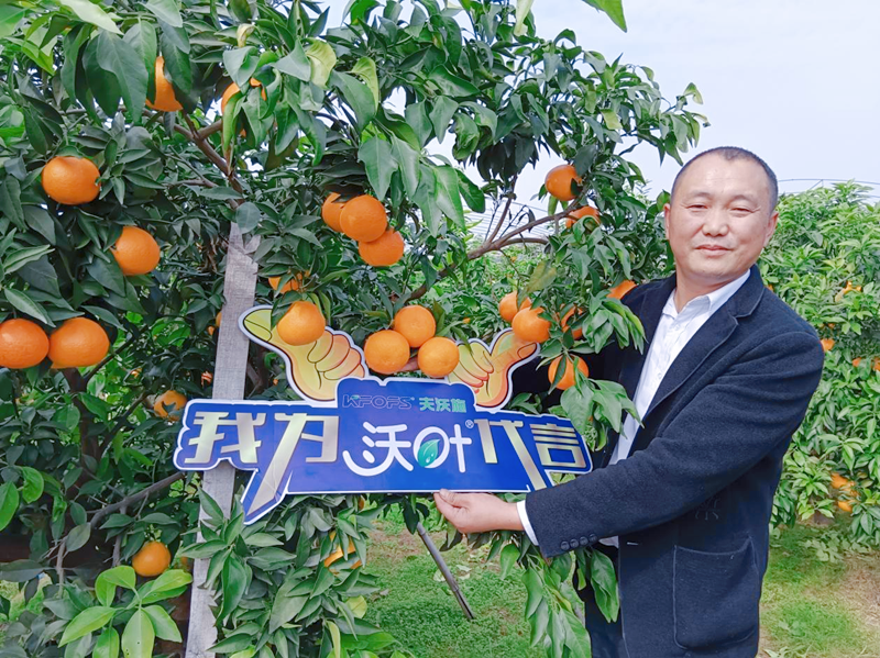 柑橘樹用什么肥料好？