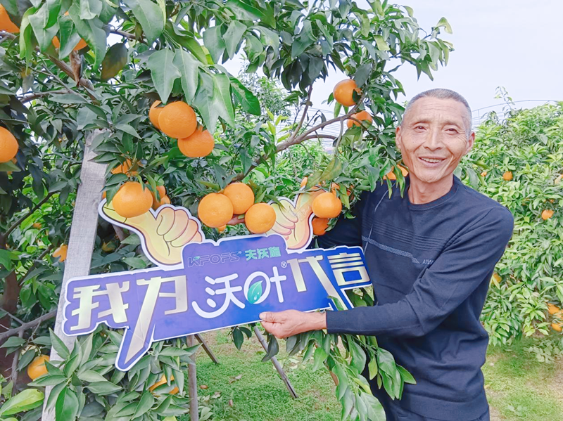 柑橘樹(shù)用什么肥料好-沃葉水溶肥1.png