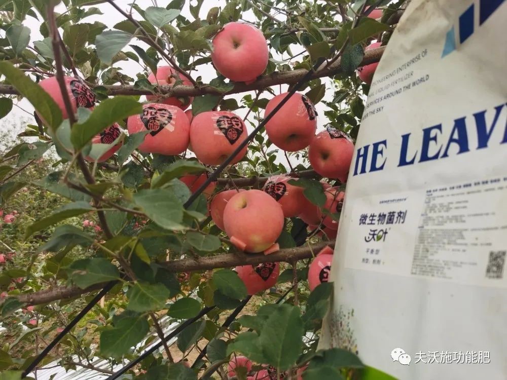 什么肥料能讓土壤變松？