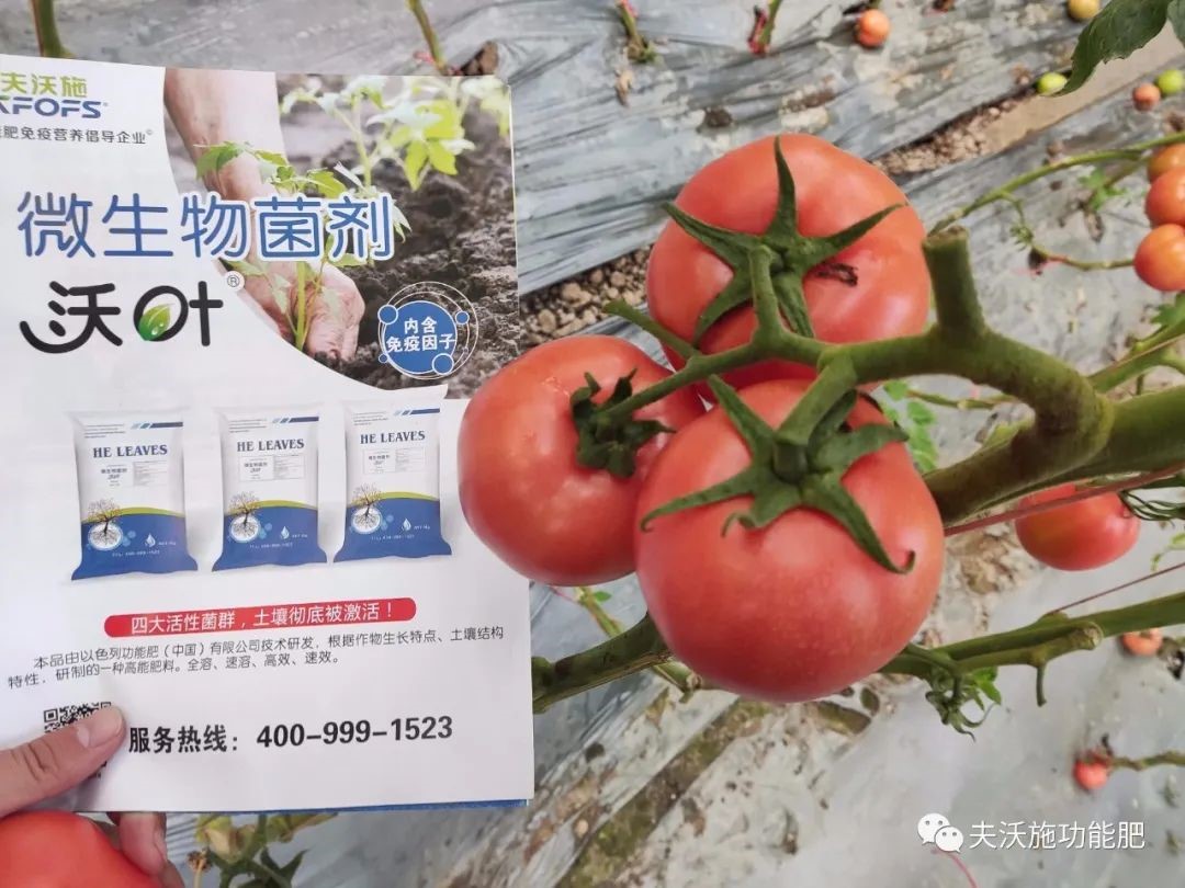 微生物菌劑選哪家？