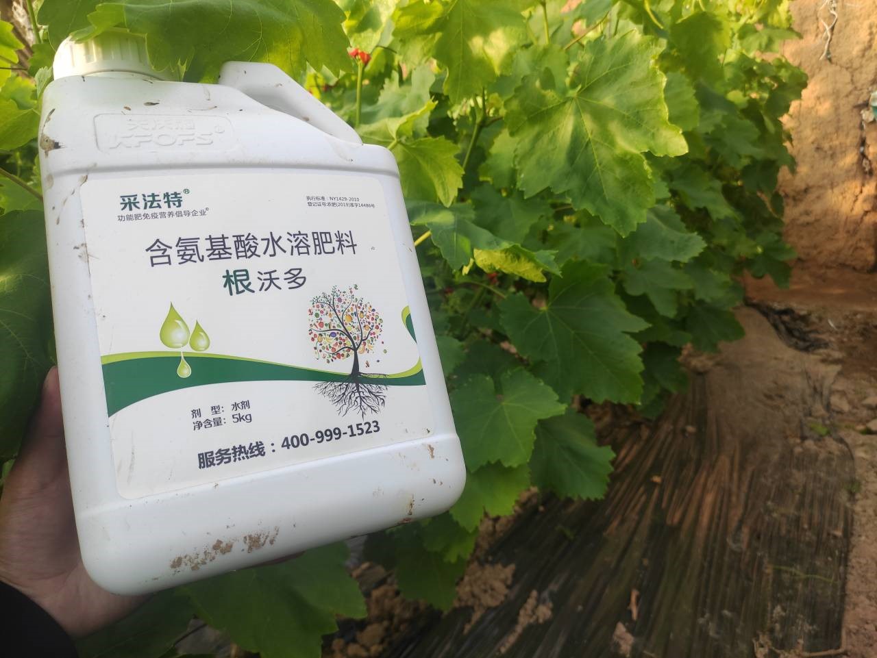 水溶肥選哪家？李總認(rèn)可采法特