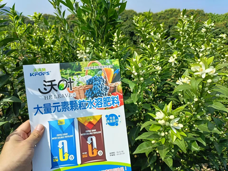 沃柑用什么效果好？夫沃施案例
