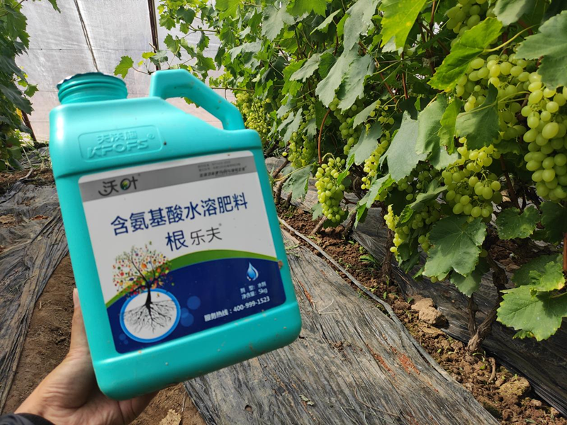 水溶肥選擇，要注意什么?
