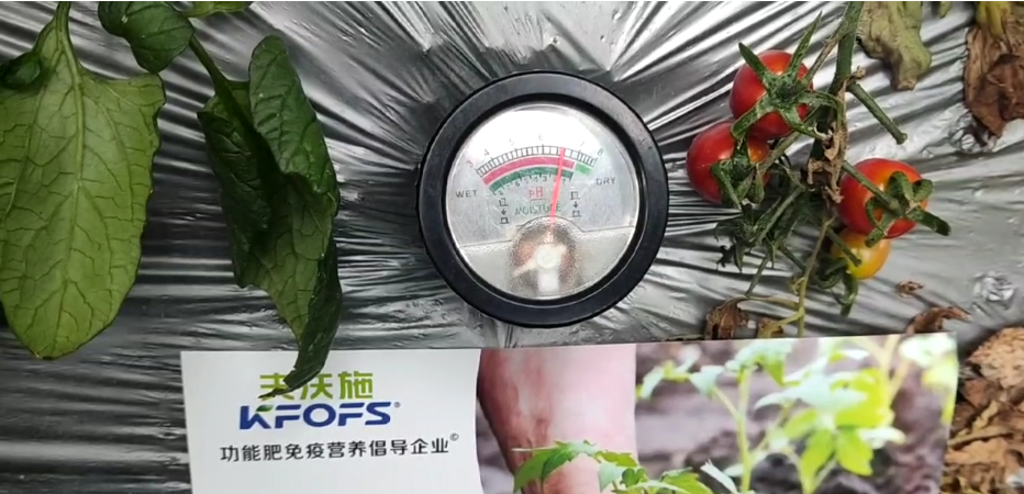 微生物菌劑，為什么被越來(lái)越多的人選擇？