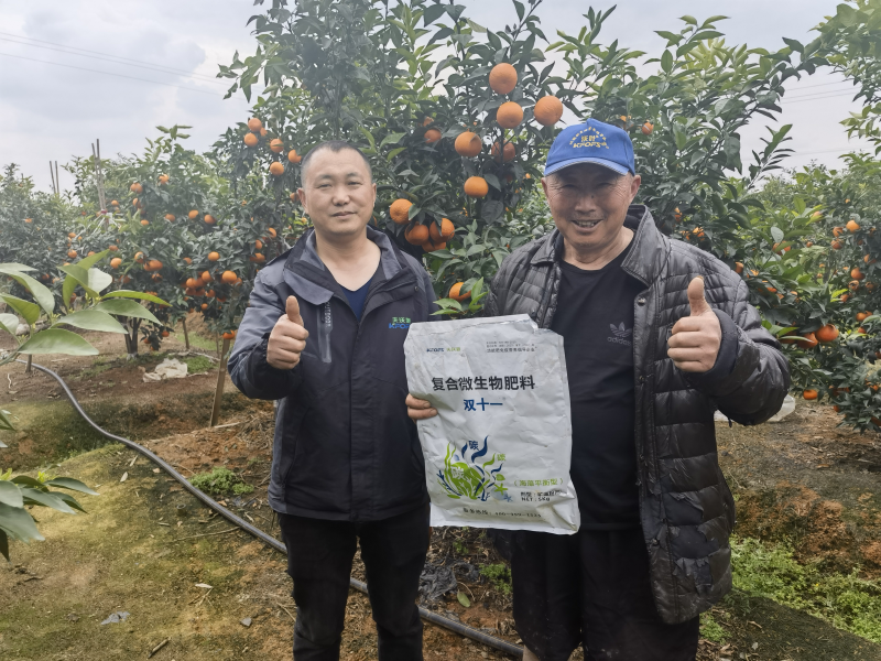 柑橘樹(shù)用什么肥料最佳？四川何大爺案例