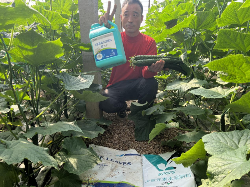 種植蔬菜用什么肥料最好？?jī)蓚€(gè)解決，兩個(gè)方案