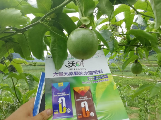 顆粒水溶肥品牌，跟著這樣選！