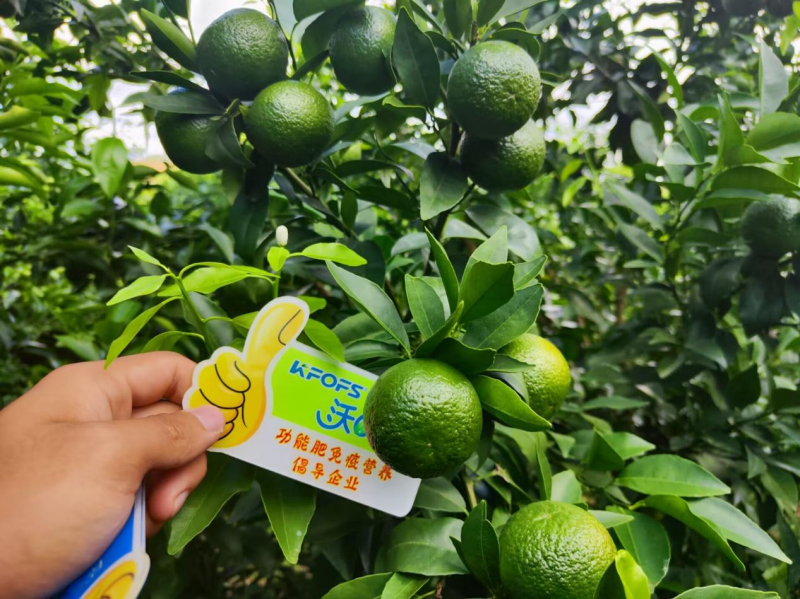 硼肥對(duì)果樹(shù)的重要性你了解嗎？
