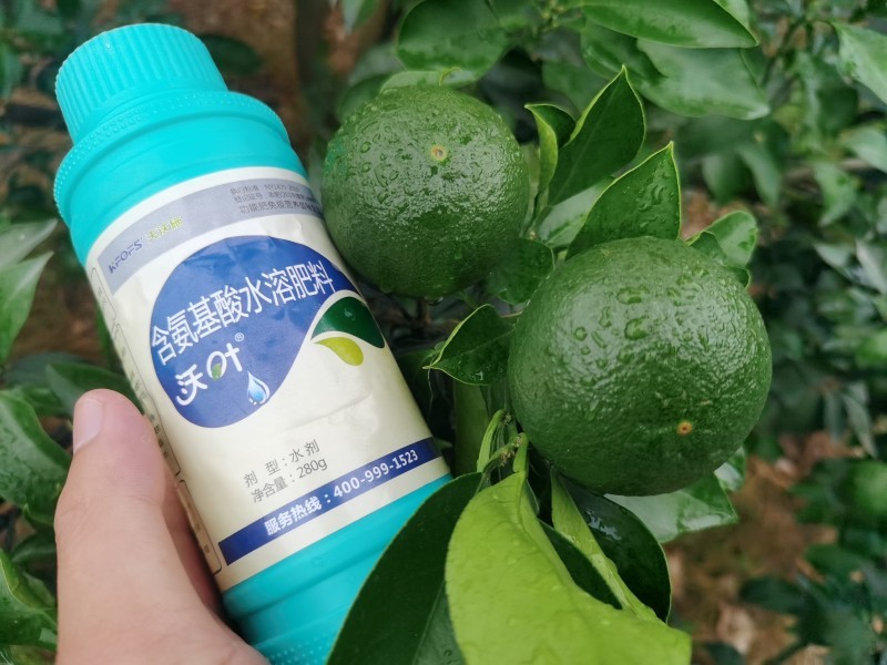 解密植物對氨基酸的吸收原理，夫沃施掌握氨基酸水溶肥核心科技