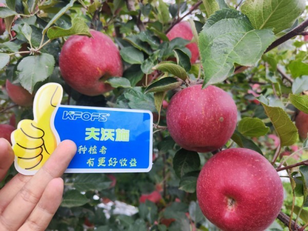 微生物菌劑，作物增產(chǎn)的“敲門磚”