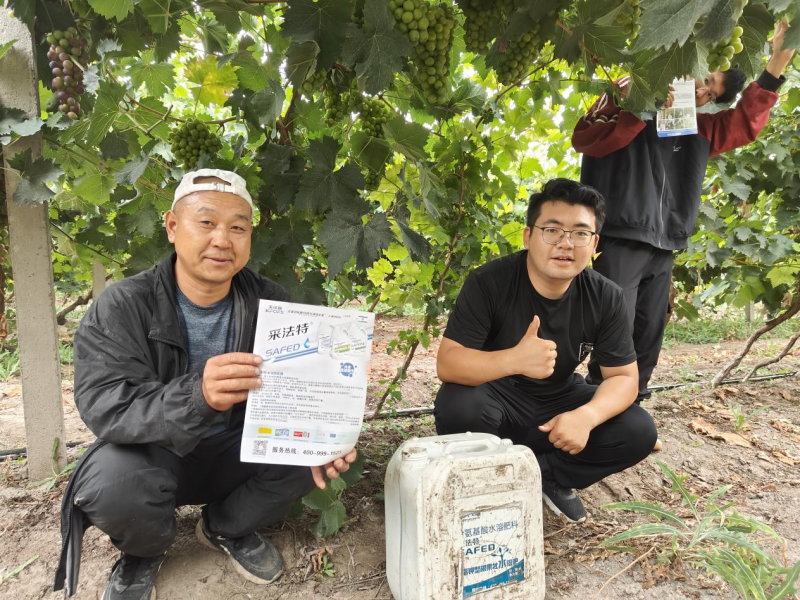 氨基酸肥料的作用你了解多少？