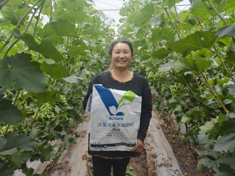 怎么讓土壤變得肥沃-沃葉水溶肥用戶見證.png