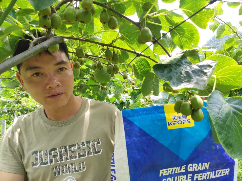 土壤板結-獼猴桃用沃葉水溶肥效果見證.png