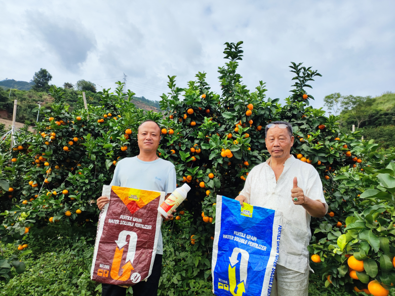 土壤板結-柑橘用沃葉水溶肥用戶見證.png