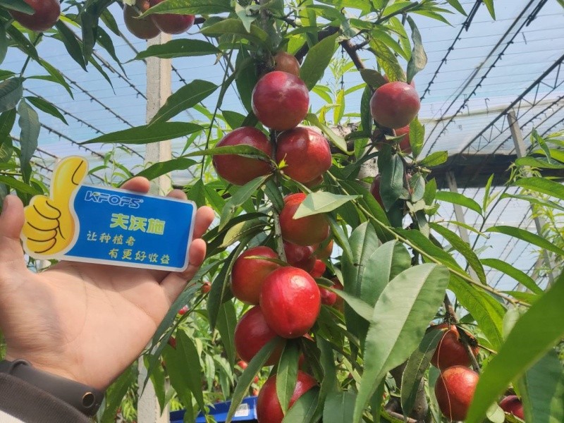 微生物菌劑的作用，你真的了解嗎？
