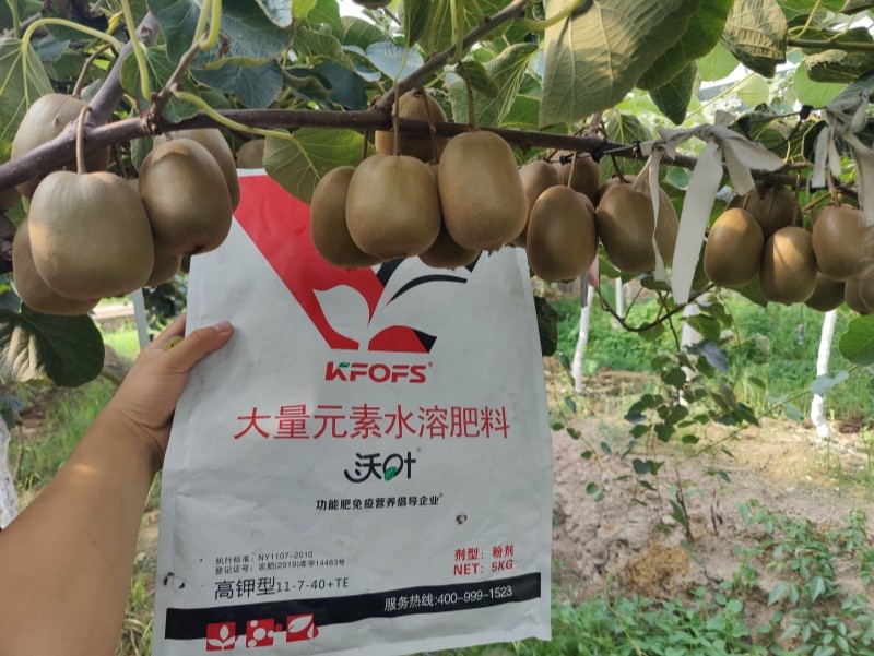 獼猴桃施肥用什么肥料？