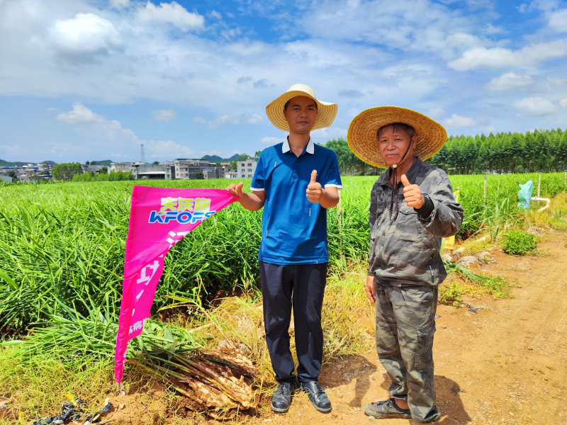 生根劑不能錯(cuò)過的3個(gè)時(shí)期，你知道嗎？