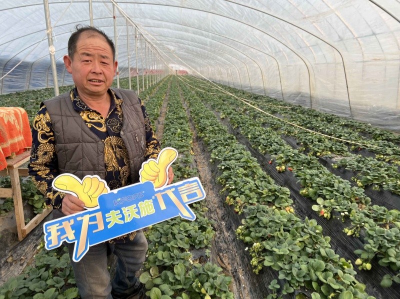 大量元素水溶肥—用戶見證1.jpg