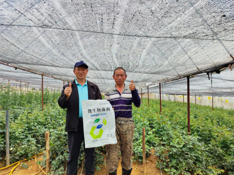 玫瑰花施肥施什么肥料？