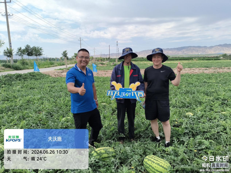 西瓜藥害怎么辦？水溶肥調(diào)理解決