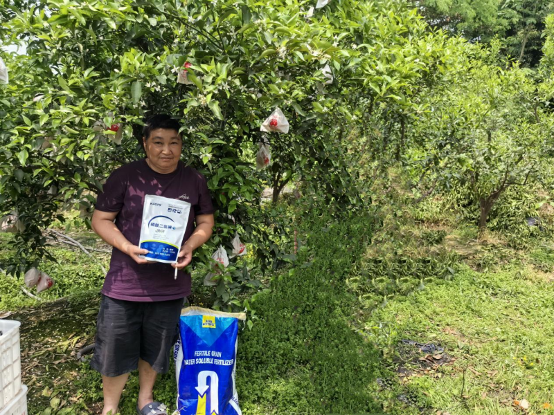 磷酸二氫鉀正確施肥方法-沃葉磷酸二氫鉀.png