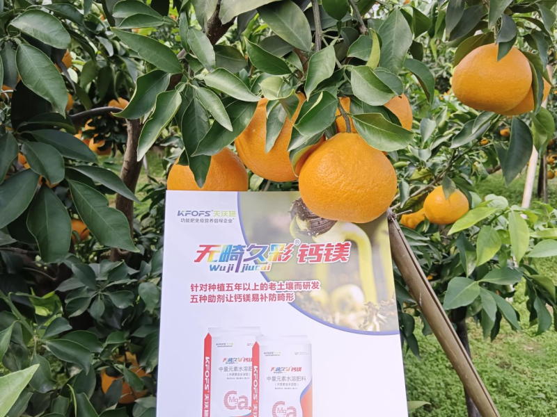 果樹(shù)秋施基肥之必要性