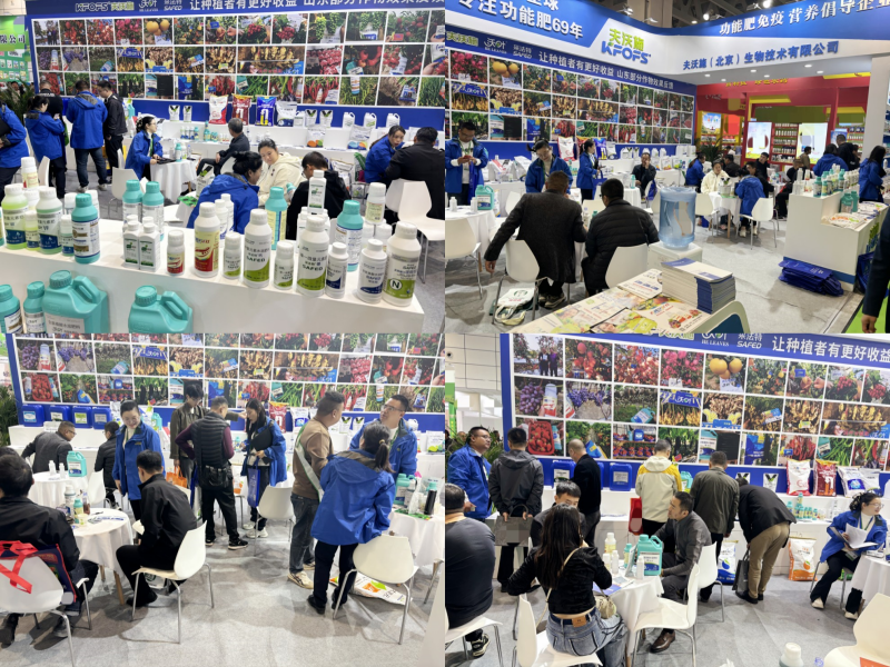 山東植保會-展會現(xiàn)場2.png