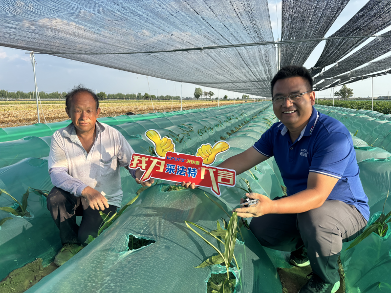 微生物菌劑的作用與功效-采法特大姜用戶見證.png