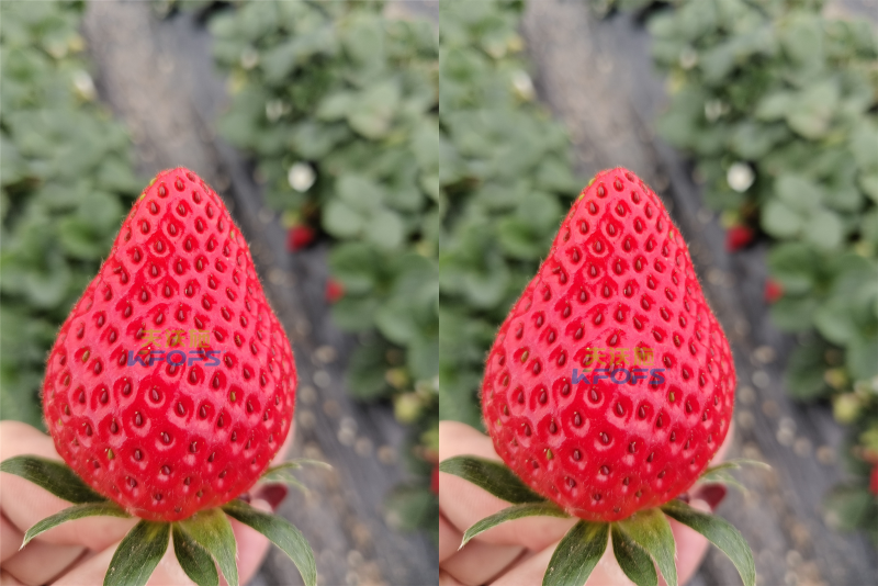 草莓施什么肥料果大？