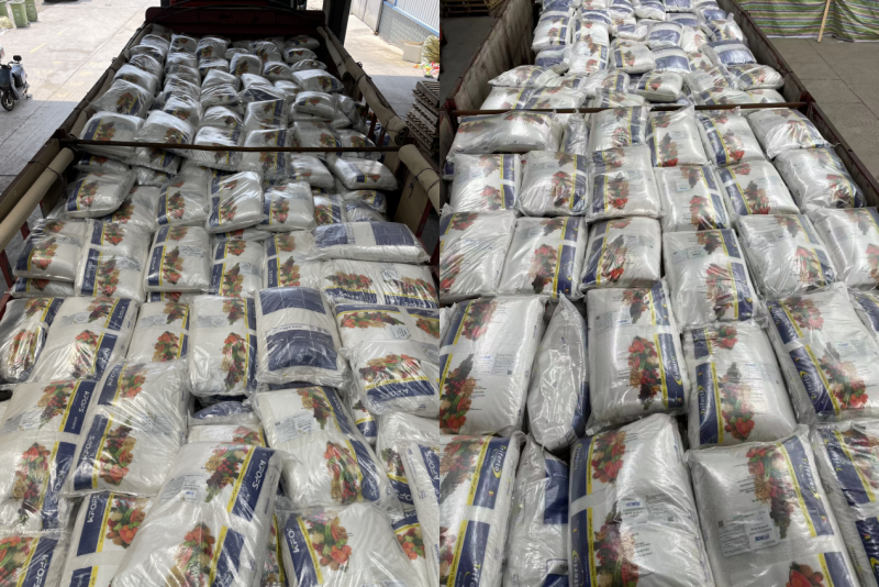 大蒜沖施肥用什么肥料好-沃納姆.png