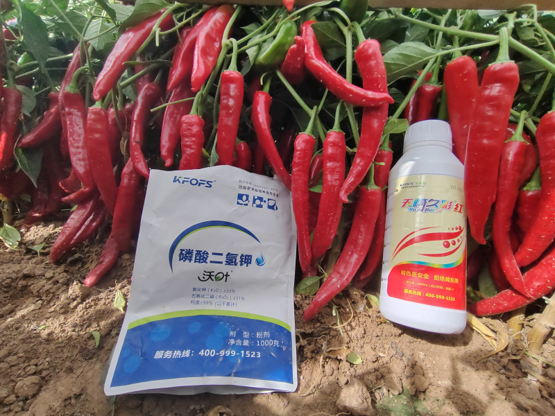 磷酸二氫鉀是葉面肥嗎？