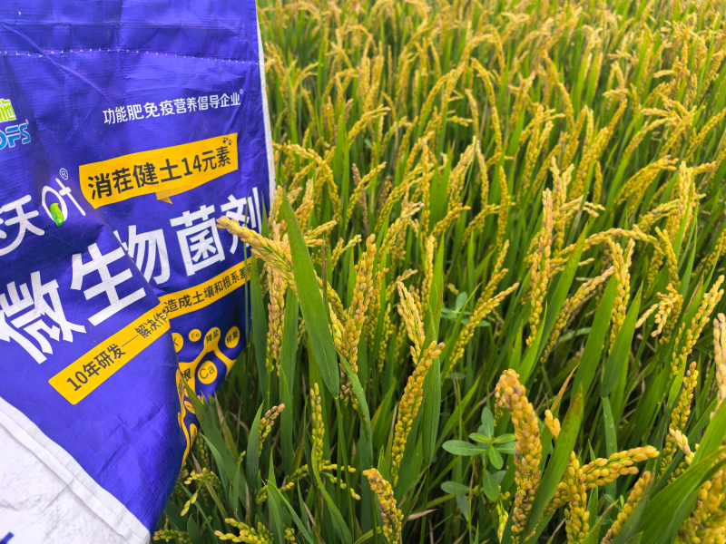 什么肥料能讓土壤變松？